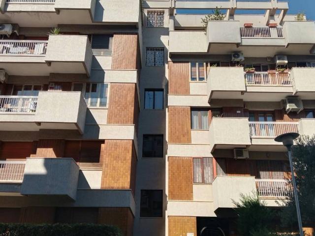 Appartamento in affitto a Foggia FG