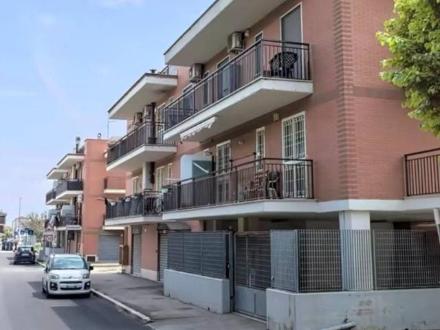 Appartamento in affitto a Foggia FG
