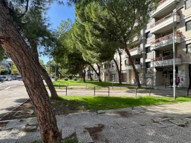 Appartamento in affitto a Foggia FG