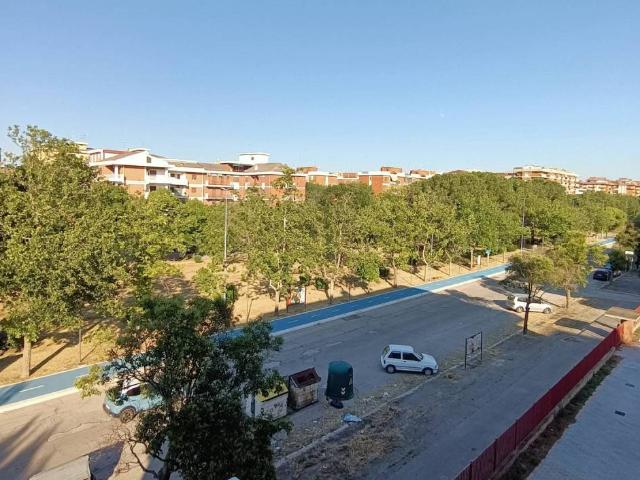 Appartamento in affitto a Foggia FG