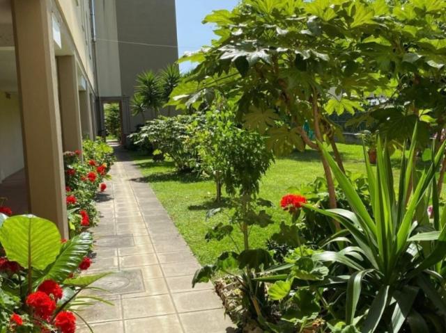 Appartamento in affitto a Forte dei Marmi