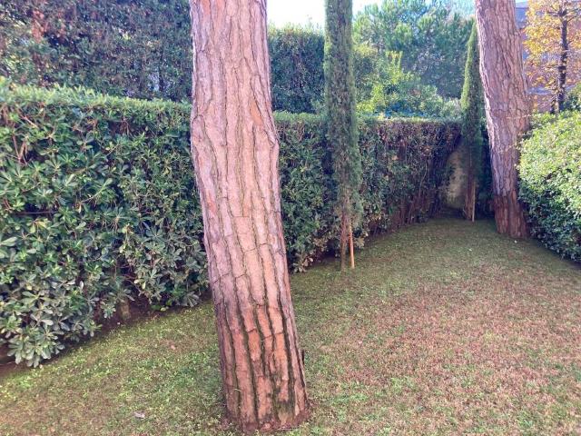 Appartamento in affitto a Forte dei Marmi LU