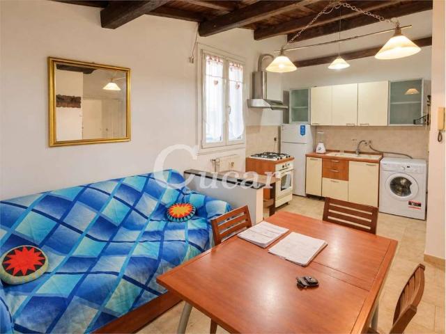 Appartamento in affitto a Frascati RM