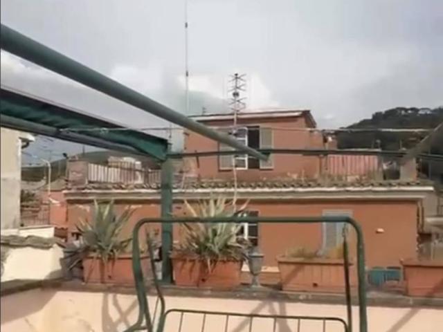 Appartamento in affitto a Frascati RM