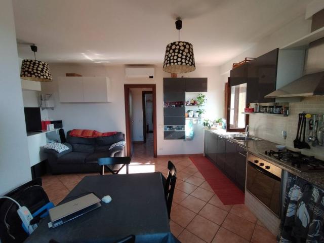 Appartamento in affitto a Frascati RM