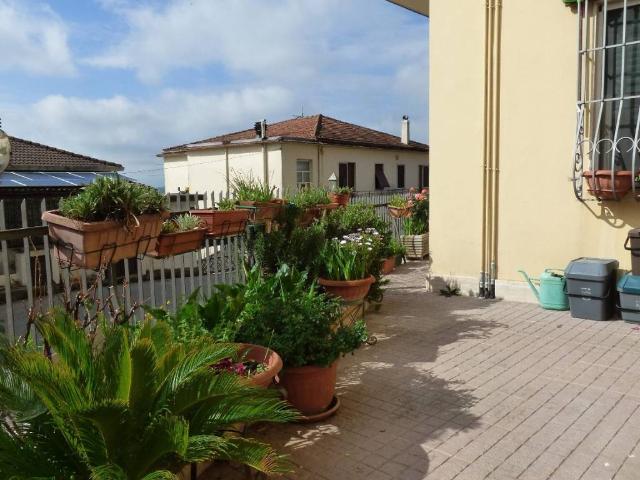 Appartamento in affitto a Frosinone FR