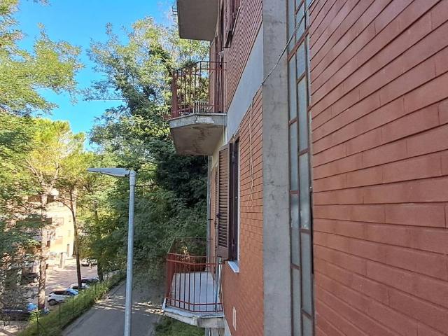 Appartamento in affitto a Frosinone FR