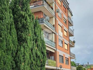 Appartamento in affitto a Frosinone FR