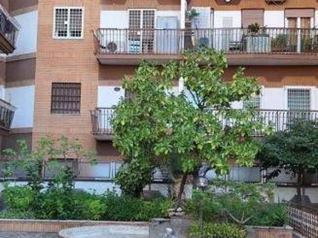 Appartamento in affitto a Guidonia Montecelio RM