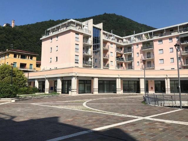 Appartamento in affitto a Gardone Val Trompia via Giacomo Matteotti, 207, arredato, ascensore, lavatrice TrovaCasa