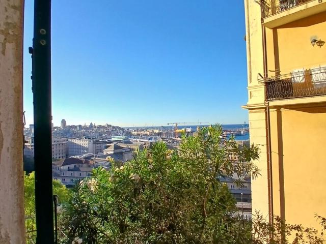 Appartamento in affitto a Genova
