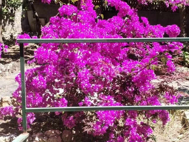 Appartamento in affitto a Genova via Monte Corno, non arredato/vuoto, giardino privato, box TrovaCasa
