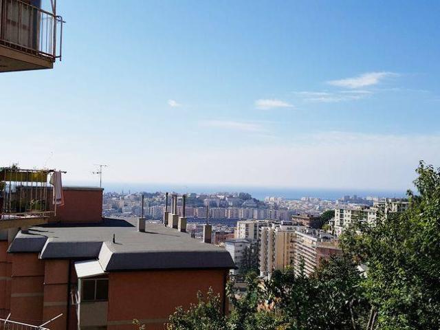 Appartamento in affitto a Genova GE
