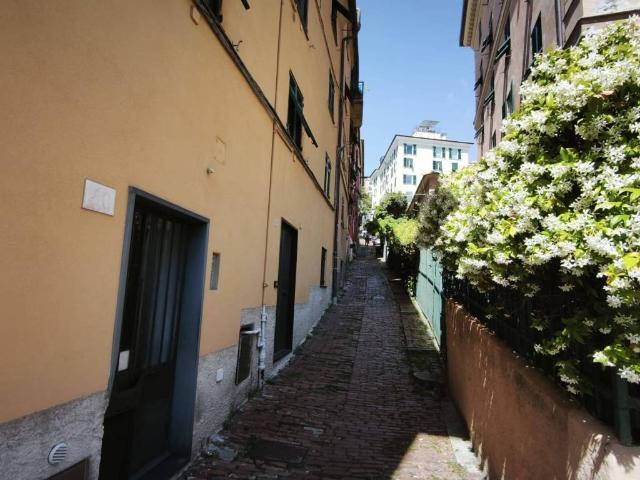 Appartamento in affitto a Genova GE