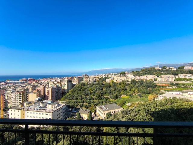 Appartamento in affitto a Genova GE