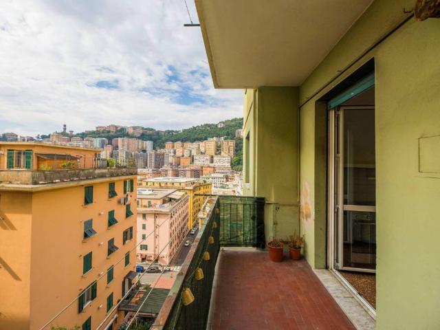 Appartamento in affitto a Genova GE