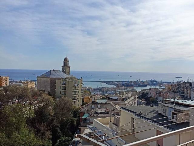 Appartamento in affitto a Genova GE
