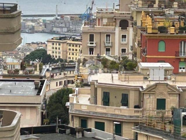 Appartamento in affitto a Genova GE