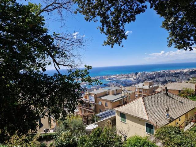 Appartamento in affitto a Genova GE