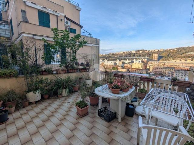 Appartamento in affitto a Genova GE