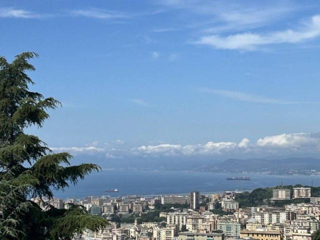 Appartamento in affitto a Genova GE