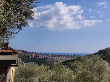 Appartamento in affitto a Genova GE