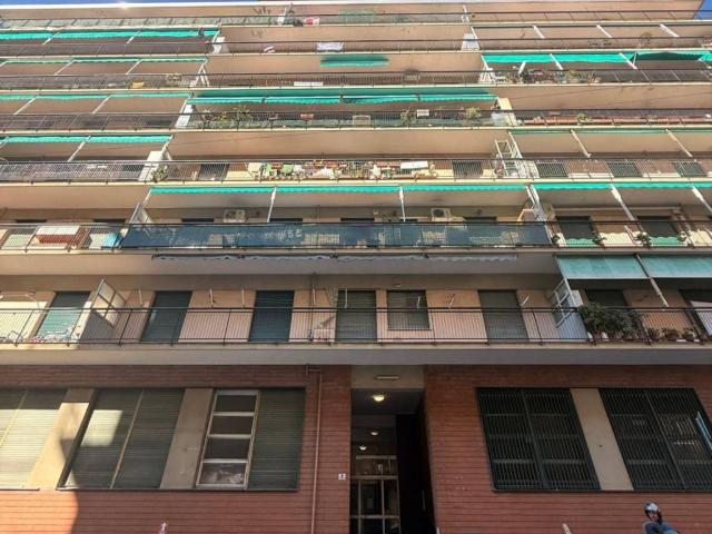 Appartamento in affitto a Genova GE