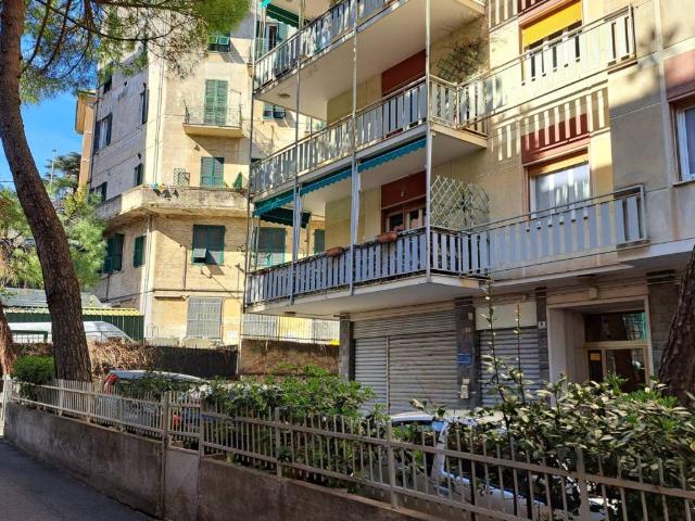 Appartamento in affitto a Genova GE