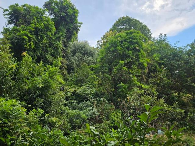 Appartamento in affitto a Genova GE