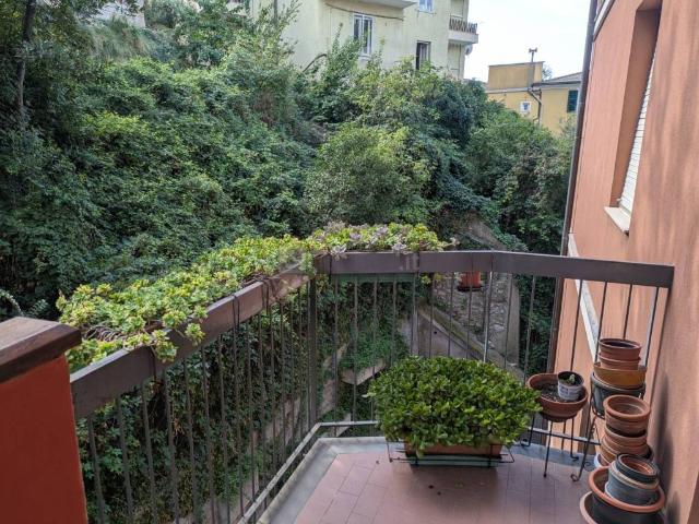 Appartamento in affitto a Genova GE