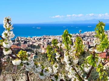 Appartamento in affitto a Genova GE