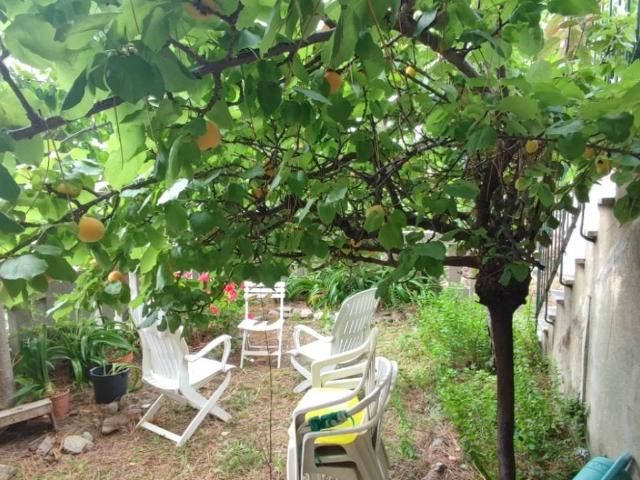 Appartamento in affitto a Genova GE