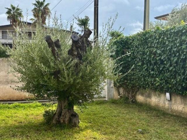 Appartamento in affitto a Gravina di Catania, non arredato/vuoto, giardino, riscaldamento autonomo TrovaCasa