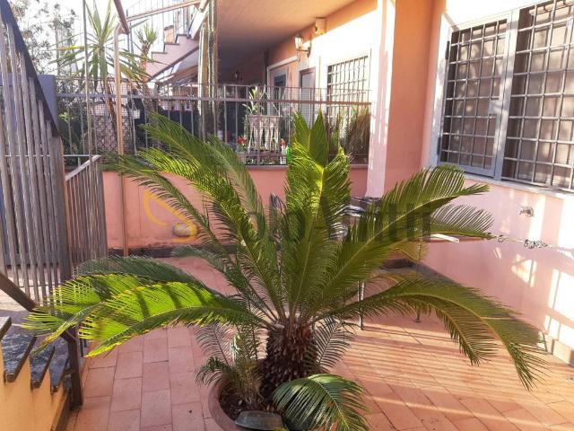 Appartamento in affitto a Grottaferrata RM