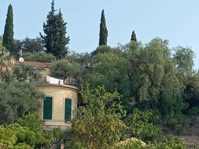 Appartamento in affitto a Imperia IM