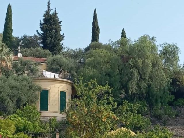Appartamento in affitto a Imperia TrovaCasa