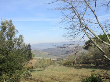 Appartamento in affitto a Impruneta FI