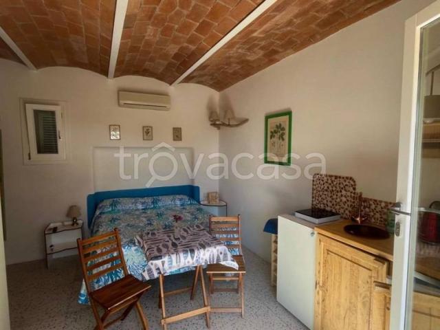 Appartamento in affitto a Isola del Giglio, terrazzo, aria condizionata TrovaCasa