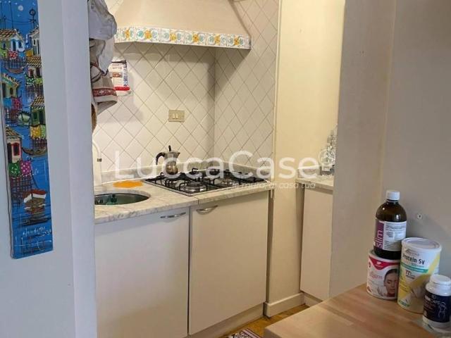 Appartamento in affitto a Lucca LU
