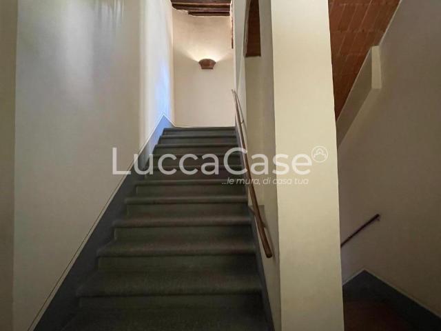 Appartamento in affitto a Lucca