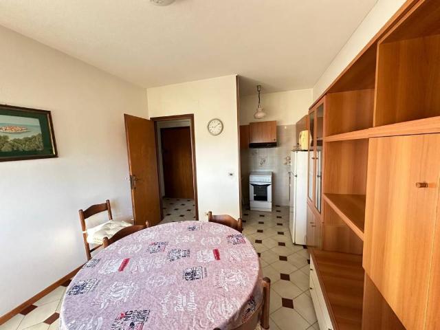 Appartamento in affitto a Luni SP