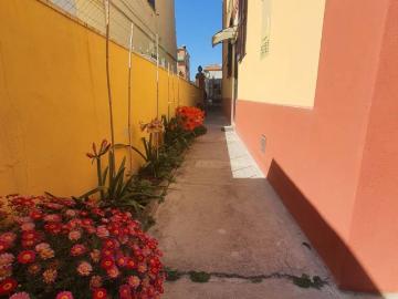Appartamento in affitto a Ladispoli RM