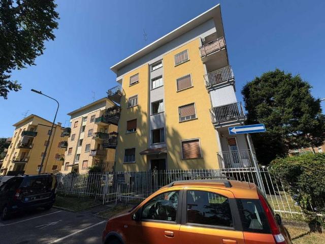 Appartamento in affitto a Lainate MI