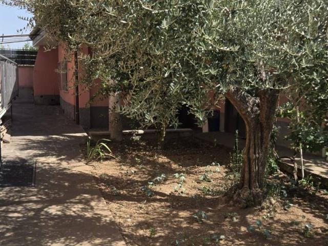 Appartamento in affitto a Lainate MI