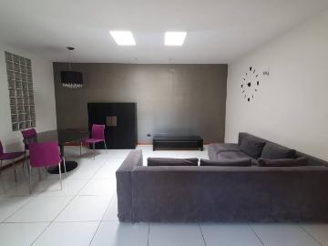Appartamento in affitto a Lecce LE