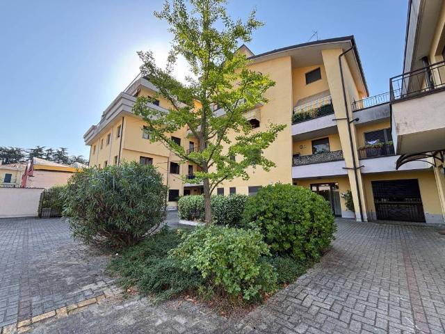 Appartamento in affitto a Legnano MI