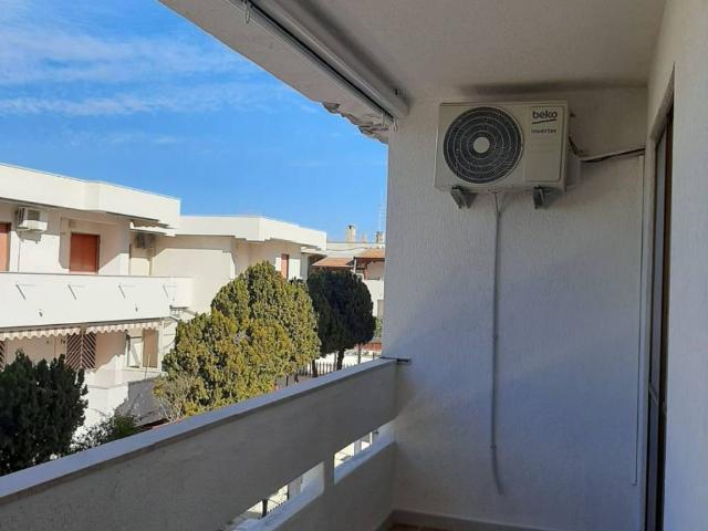 Appartamento in affitto a Lesina FG
