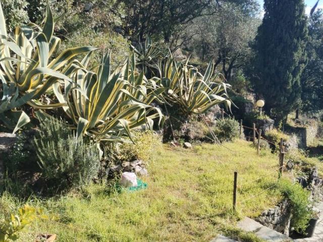 Appartamento in affitto a Lerici SP