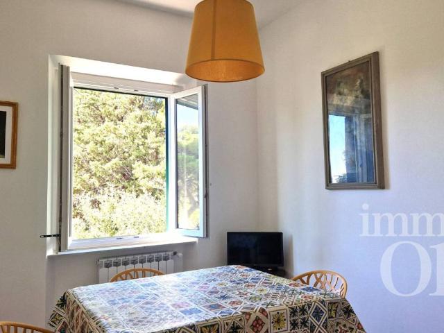 Appartamento in affitto a Livorno LI
