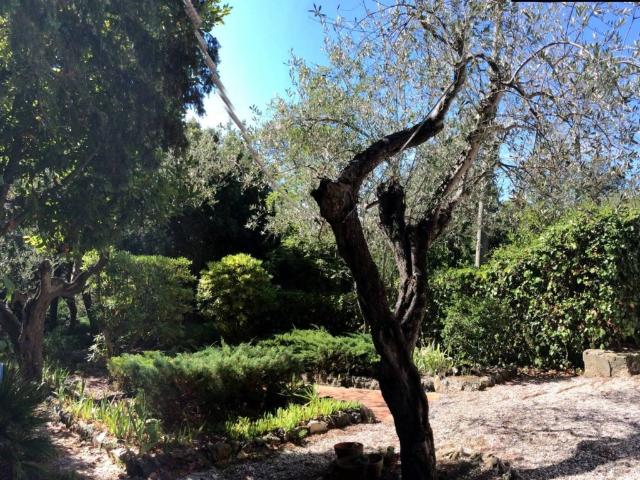 Appartamento in affitto a Livorno via Renato Fucini, 38, arredato, giardino, lungomare TrovaCasa